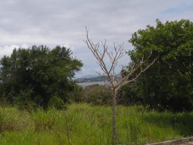Área para Venda em São Pedro da Aldeia - 4