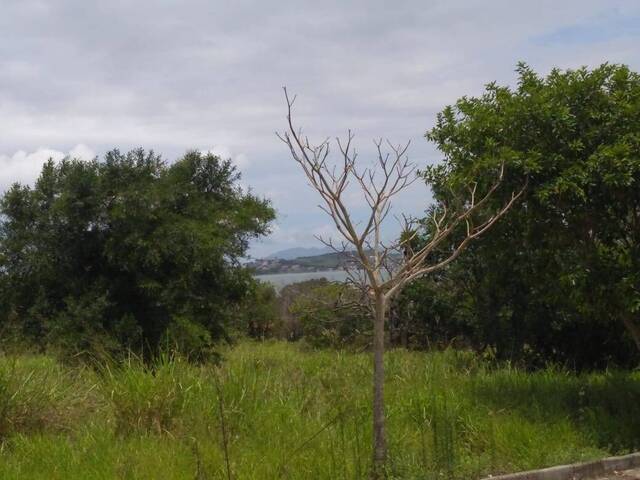 Área para Venda em São Pedro da Aldeia - 4